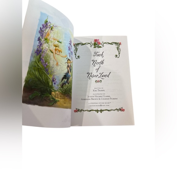 Disney fairies soft cover four pack bundled chapter books for kids EUC - Picture 4 of 9